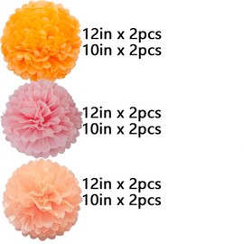 We Moment Orange Pink and Peach Paper Flowers Pom Poms Decorations for Groovy Party Decorations Baby Shower Ceiling Wall Hanging Tissue Pom Poms 12pcs 3 Colors