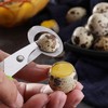 LATRAT 10 Pieces Quail Egg Slicer, Quail and Pigeon Egg