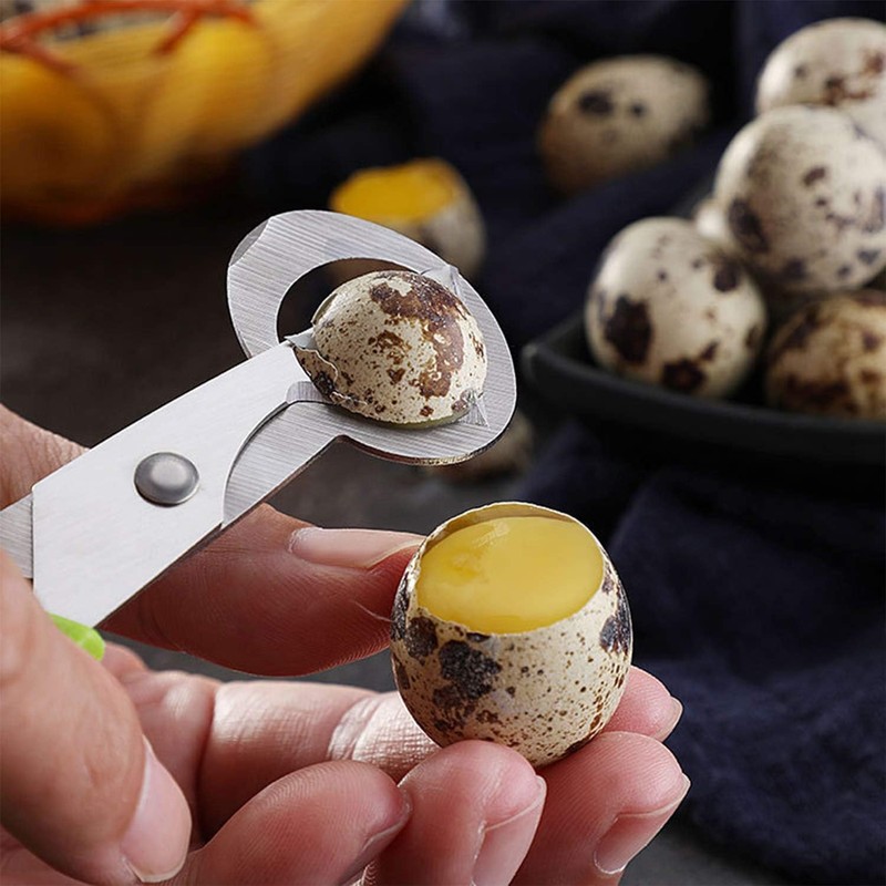 LATRAT 10 Pieces Quail Egg Slicer, Quail and Pigeon Egg