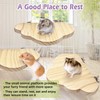 Hamiledyi Wooden Hamster Cage Platform Set 4Pcs Bird Wood Platform