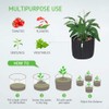 VIVOSUN 5-Pack 2 Gallon Grow Bags, Fabric Pots with Self-Adhesion