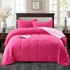 HIG 3pc Pink Comforter Set Full Size Duvet Insert, Reversible,