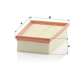 MANN-FILTER C 2433/2 Air Filter - CARS + TRANSPORTERS