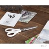 Cainz Stainless Steel Scissors, Total Length: 6.1 inches (155 mm),