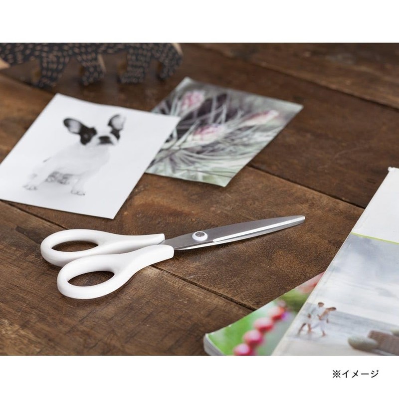 Cainz Stainless Steel Scissors, Total Length: 6.1 inches (155 mm),