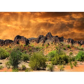 CORFOTO 7x5ft Desert Backdrop Sand Dune Cactus Backdrops Mexico Rocky Mountains Backdrop Sunset Natural Scenery Landscape Photography Background for Men Boys Photo Studio Portraits Props Baby Shower