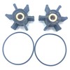 TTocenb 49-16-2771 Brass Core Impeller & O-Ring Kit M18 Transfer