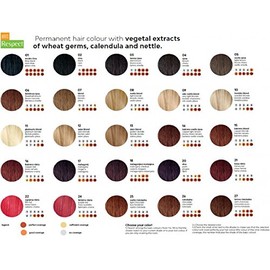 Martis Respect Hair Colour "Ammonia Free" Mahogany Blonde No. 19
