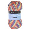 Berroco Comfort Sock Hari Hari 1811 Yarn