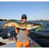 FISHN XXL Pike Bait Candy, Length: 20 cm, Weight: 83