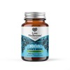 Love Mushrooms – Lion’s Mane Plus Ashwagandha Capsules | Cognitive