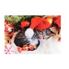 Classic Christmas Card 8 Pack, Santa Kitten Sleeping Under Tree
