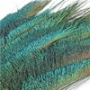 20 Pcs Peacock Feathers, Feathers, Feather, Green Feathers, Feathers for