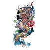 Temporary Dragon Tattoo Japanese Tattoo Dragon Tattoo Arm Tattoos XQB063