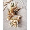 Daichi Farm DO032083-010 Dried Flowers, Solar Rose, Large, White Approximately