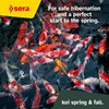 sera 1 Piece KOI Professional Spring/Autumn Food, 4.86 lb/2200 g