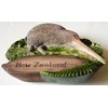 Kiwi NEW ZEALAND Resin 3D fridge Refrigerator Thai Magnet Hand