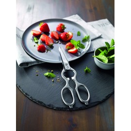 ZWILLING 43923-200-0 stationery/craft scissors