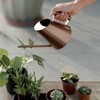 Household Stainless Steel Watering Can Pot Garden Green Plant Flower