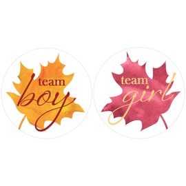Autumn Leaf Gender Reveal Party Team Boy or Team Girl Stickers - 40 Labels - Fall Themed Gender Reveal