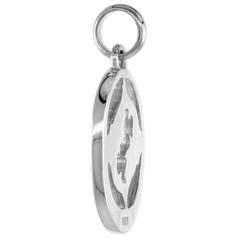 Small Oval Sterling Silver Zodiac Sign Pisces Pendant Women Flawless Polished Finish 3/4 inch Tall No Chain