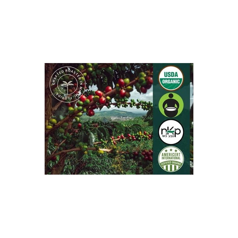 Artizan's USDA Organic Whole Bean Coffee | Manuka Honey Coffee