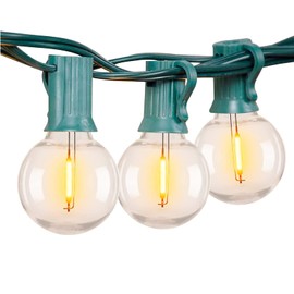 25Ft LED Outdoor String Lights Waterproof Shatterproof G40 Globe String Lights with 25 LED Bulbs, Dimmable Hanging Light String Connectable Patio Lights for Xmas Party Bistro Pergola Tent, Green Wire