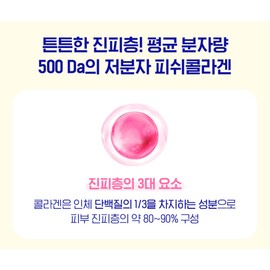1+1 BB Lab The Elastin Low Molecular Fish Collagen bblab powder peach flavor stick / 1+1 비비랩 더 엘라스틴 저분자 피쉬 콜라겐 bblab 분말 가루 복숭아맛 스틱