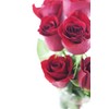 Bouquet of Long Stemmed Red Roses (Half Dozen) - With