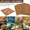 Homirty Pack of 6 Coconut Mat, 30 x 30 cm