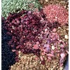 Strawberry Field Granola Strawberry Field Granola 470g