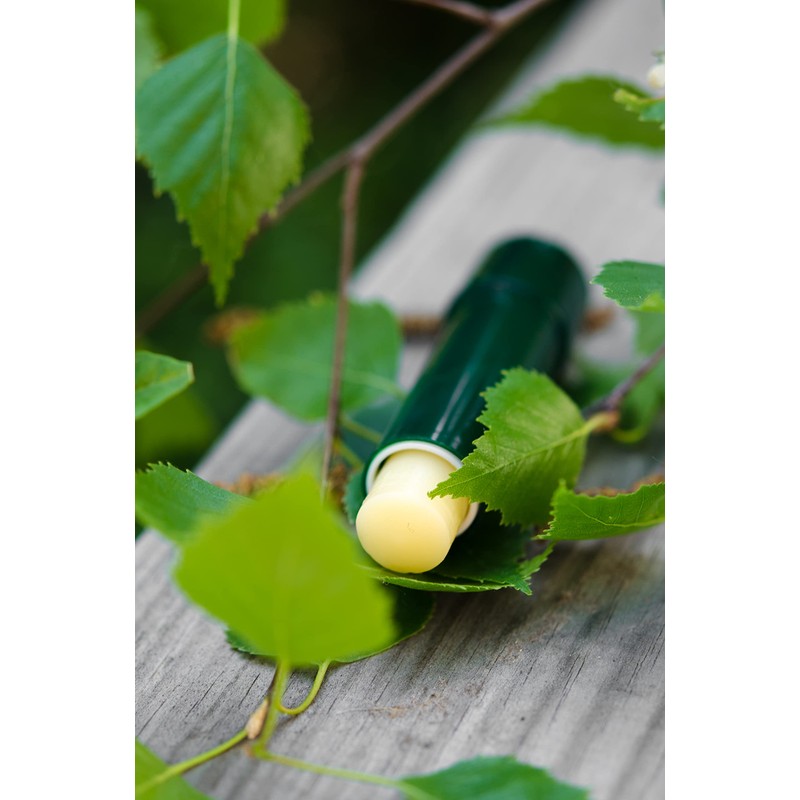 SYLVECO Birch Lip Balm with Betulin
