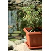Prosper Plast DKWT19-R624 19 x 19 x 16 cm Terra