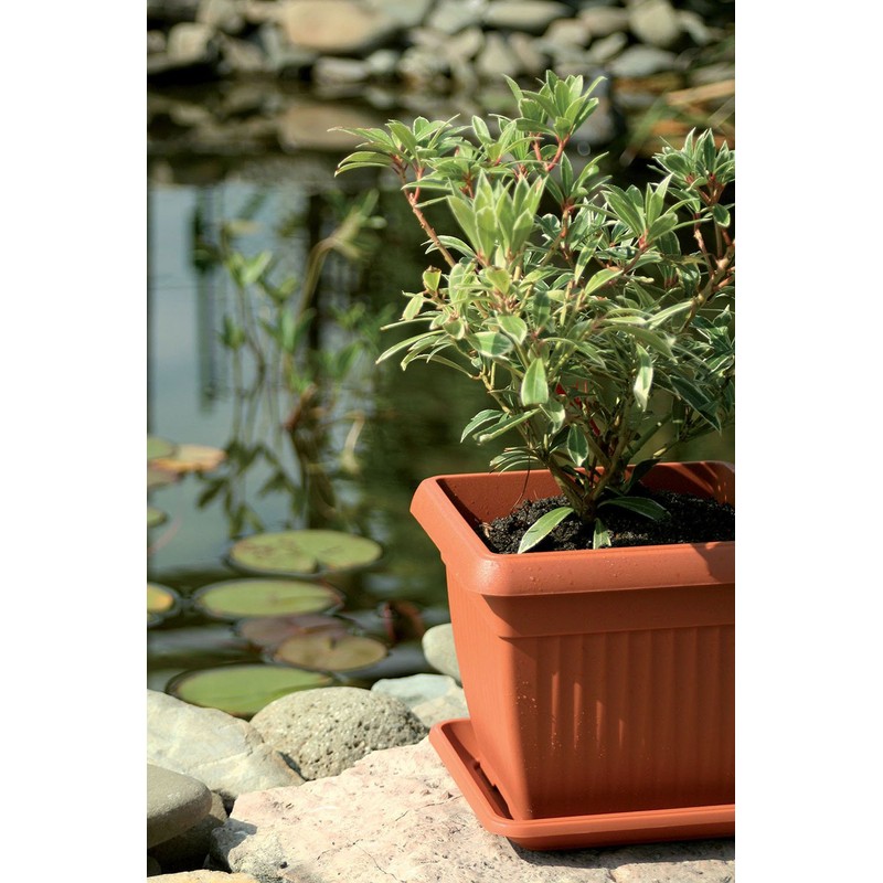 Prosper Plast DKWT19-R624 19 x 19 x 16 cm Terra