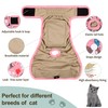 Reusable Cat Diapers 3 Pack with Good Absorbency Kitten Diapers