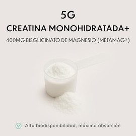 Creatine Monohydrate Magnesium | Redefinimos el Estándar en Suplementación | Creatina Monohidratada Micronizada Ultra Pura + Bisglicinato de Magnesio 