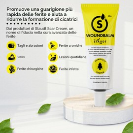 Staudt Unguento per ferite, 20 G