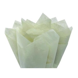 Soft Pine Gift Wrapping Tissue Paper 20x30 480 Pack by Feronia Packaging