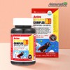 Active Vitamin B100 Complex High-Dose B Group B12 2 Bottles