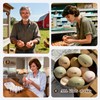 Egg Dater Kit with Date Stamp and Ink Pads for