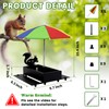 Squirrel Feeder with Umbrella Metal Squirrel Feeders for Outside Funny