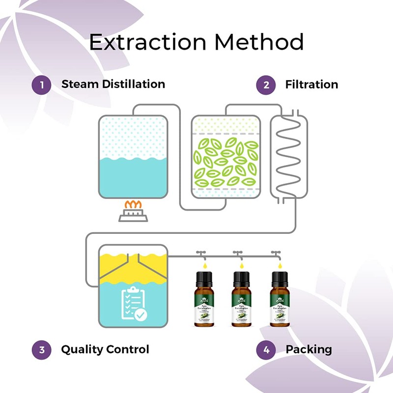 Ayumi, Pure Eucalyptus Oil, 3 x 20ml