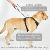 TUG Grab Dog Harness | Integrated Traffic Leash Magnetically Attached