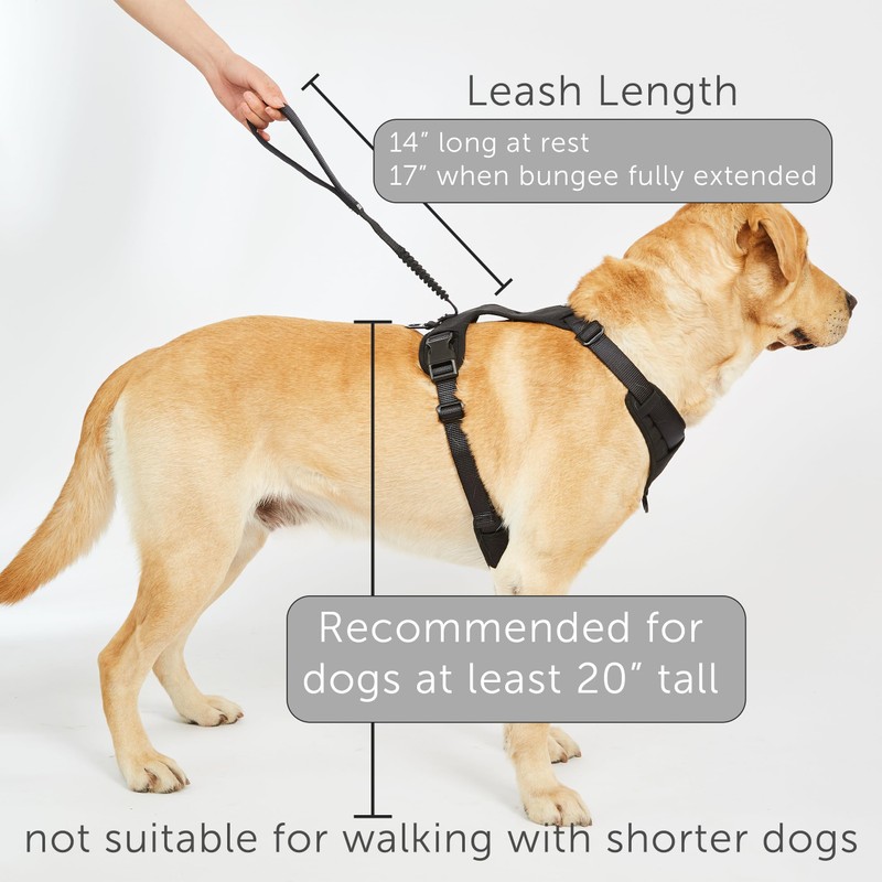 TUG Grab Dog Harness | Integrated Traffic Leash Magnetically Attached