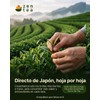 Té Matcha Grado Premium Japonés Orgánico Zen Tea 200g