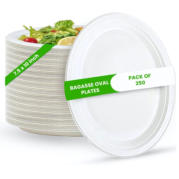 FPN Oval Plates Disposable (250, Small) Sugarcane Eco-Friendly – Biodegradable,