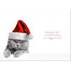 doodlecards Grandson and Girlfriend Christmas Card Grey Cat with Santa