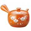 J-kitchens Teapot, Capacity (Approximate), 15.9 fl oz (450 cc) (Kagoami