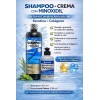 Kit Shampoo Incredible Crema Peinar Anti Caida Sal