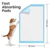FPN Puppy Pads (300 Count, 18x24 in) Super Absorbent &